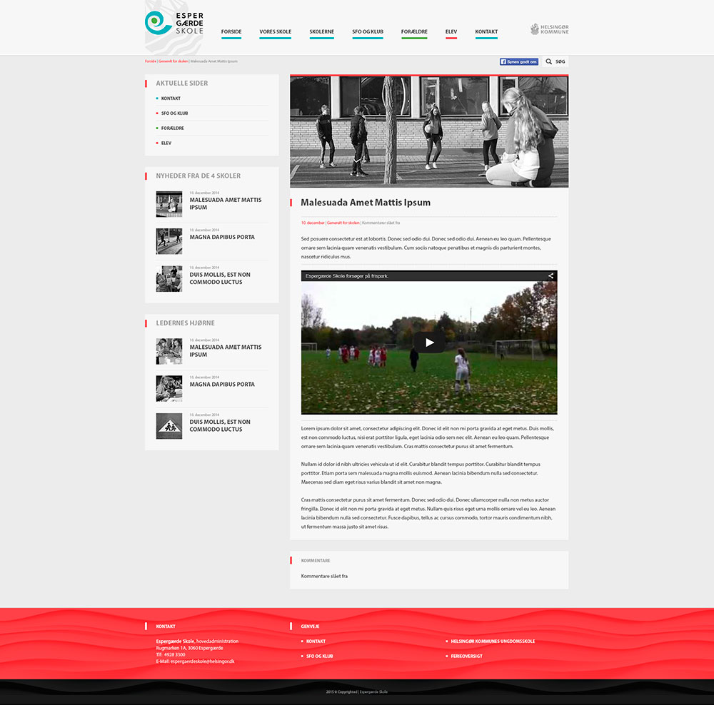 espergærde skole webdesign
